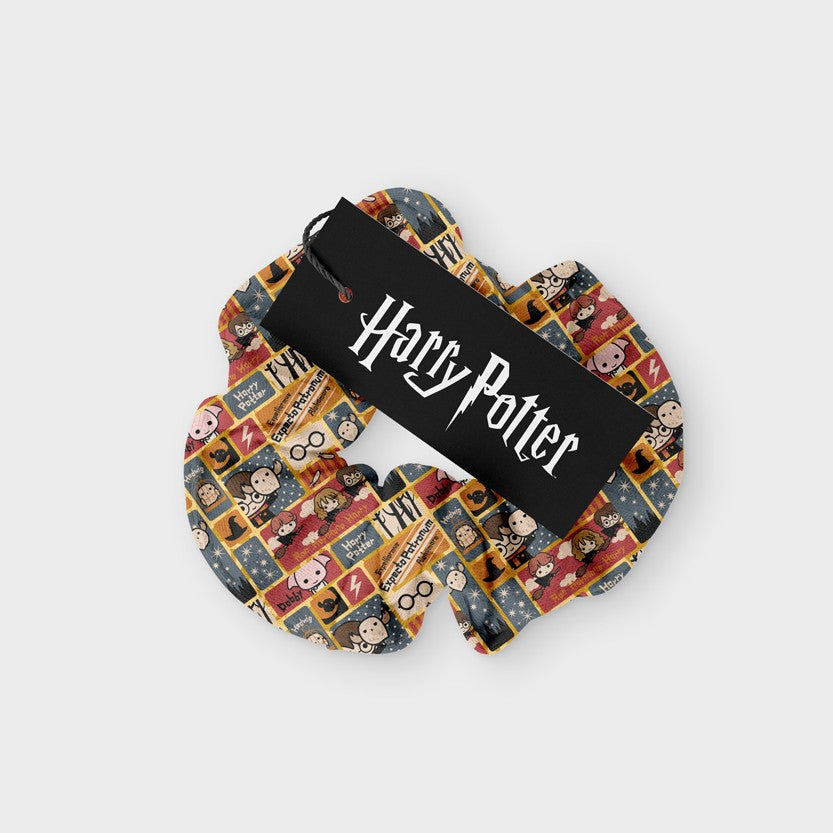 Scrunchy Harry Potter Pop Art
