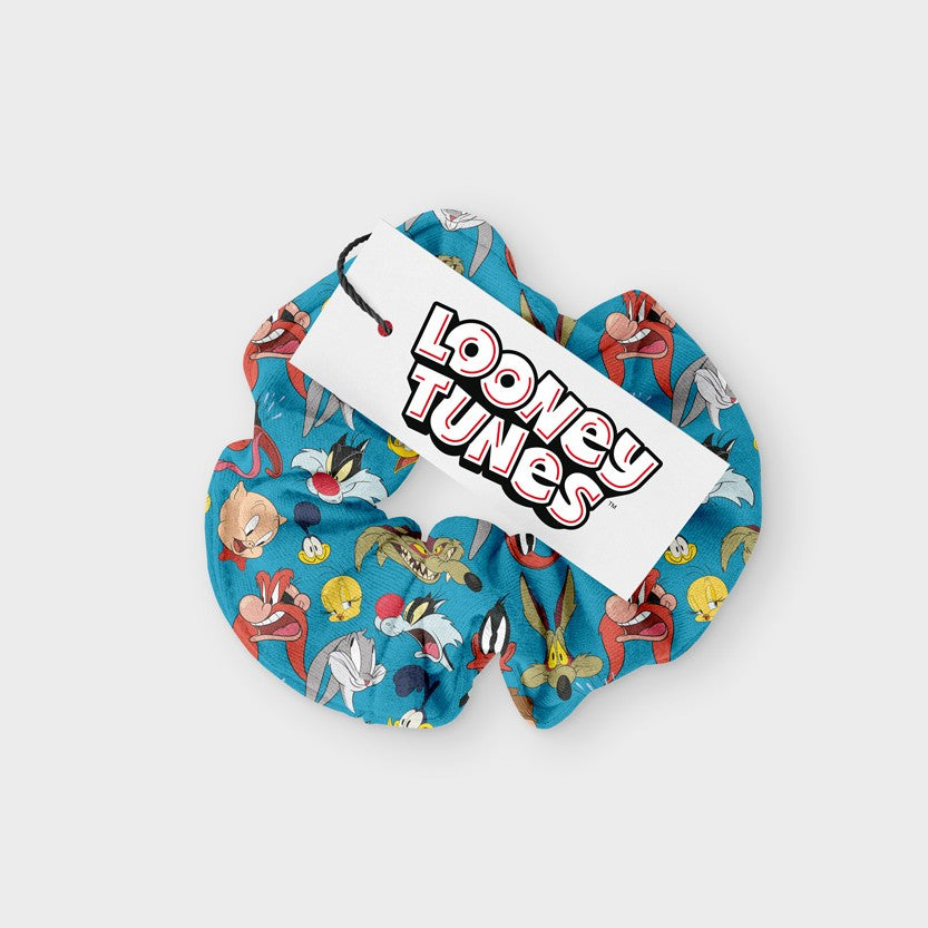Scrunchy Looney Tunes
