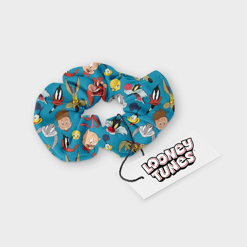 Scrunchy Looney Tunes