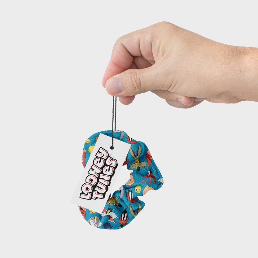 Scrunchy Looney Tunes